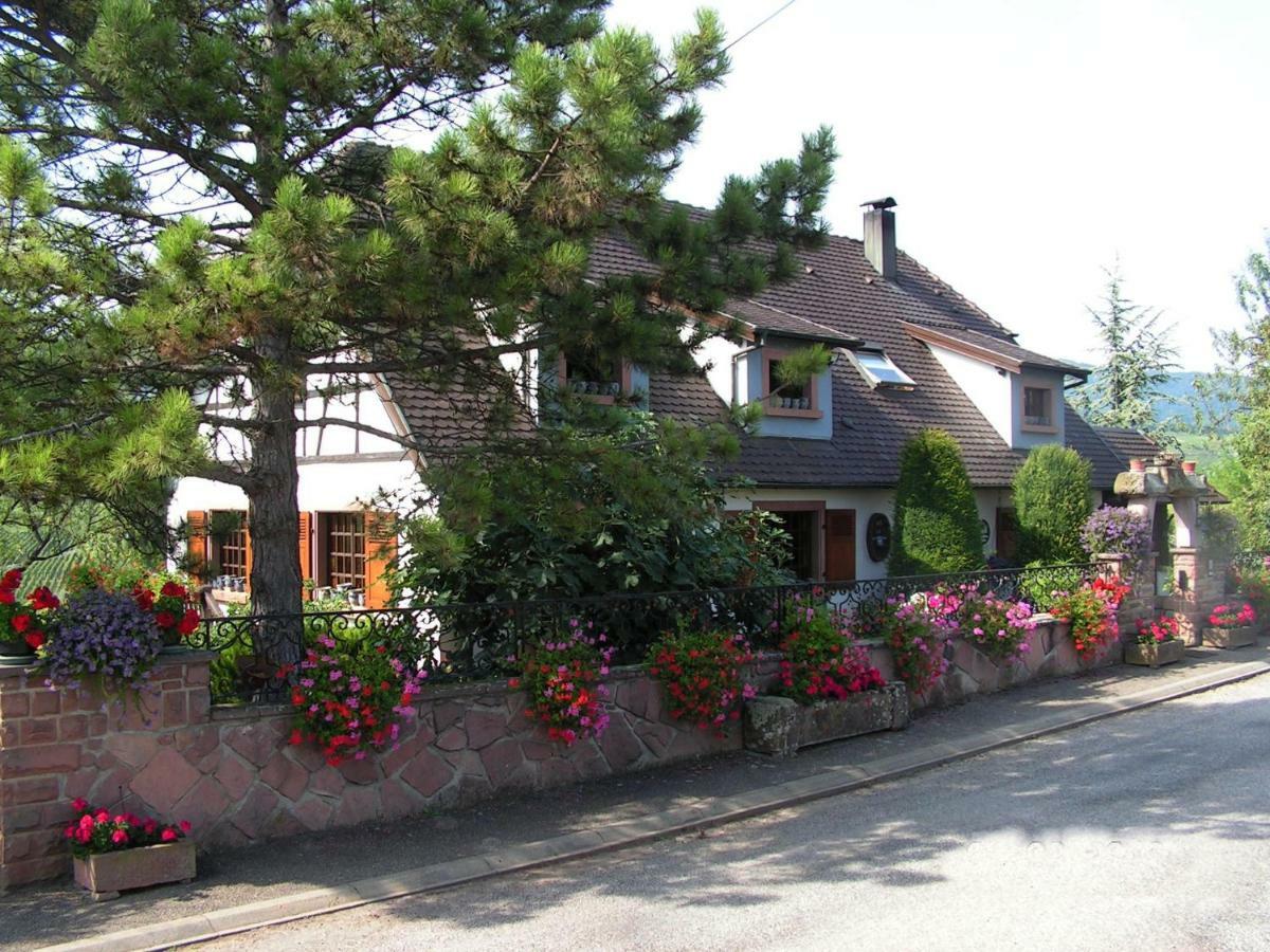 Ferienwohnung Le Sonnenglanz Beblenheim Exterior foto